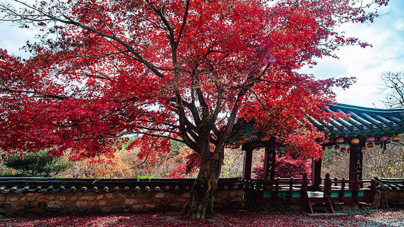 양산 통도사 (梁山 通度寺): 산사, 한국의 산지 승원