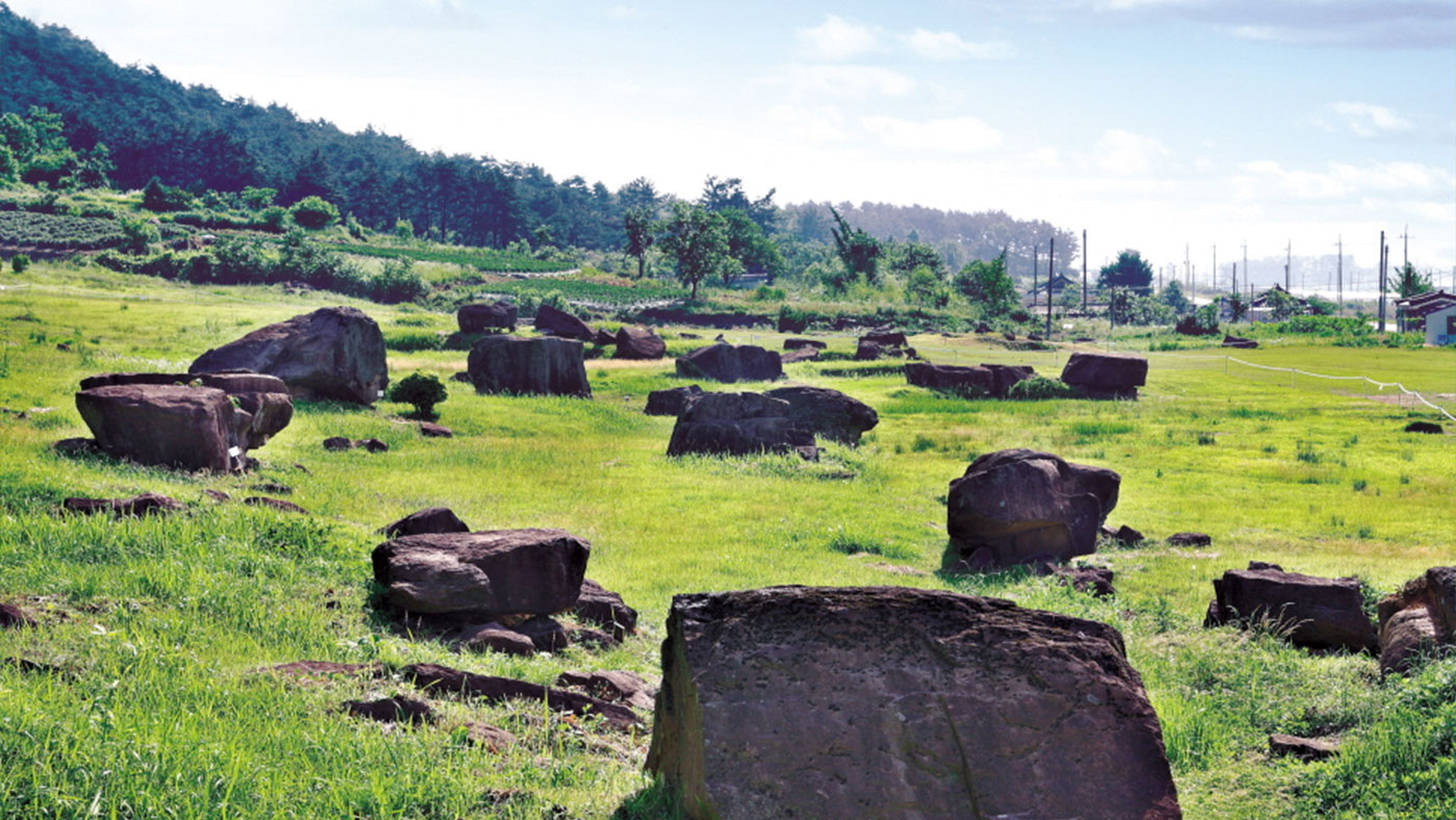 고창 죽림리 지석묘군 (高敞 竹林里 支石墓群): 짧은 시간에 가장 많은 고인돌을 보려면 고창 고인돌