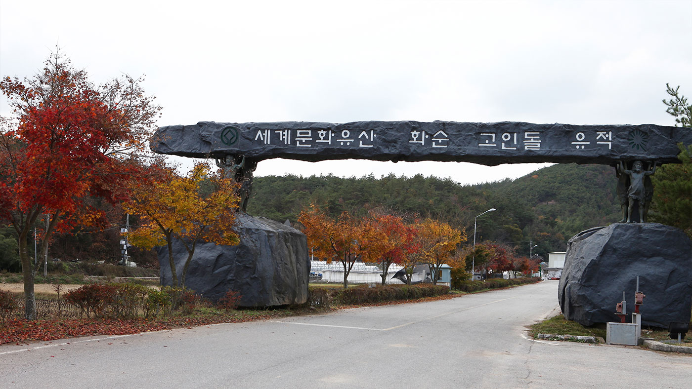 화순 효산리와 대신리 지석묘군 (和順 孝山里와 大薪里 支石墓郡): 고인돌 문화의 산 교육장 화순 고인돌