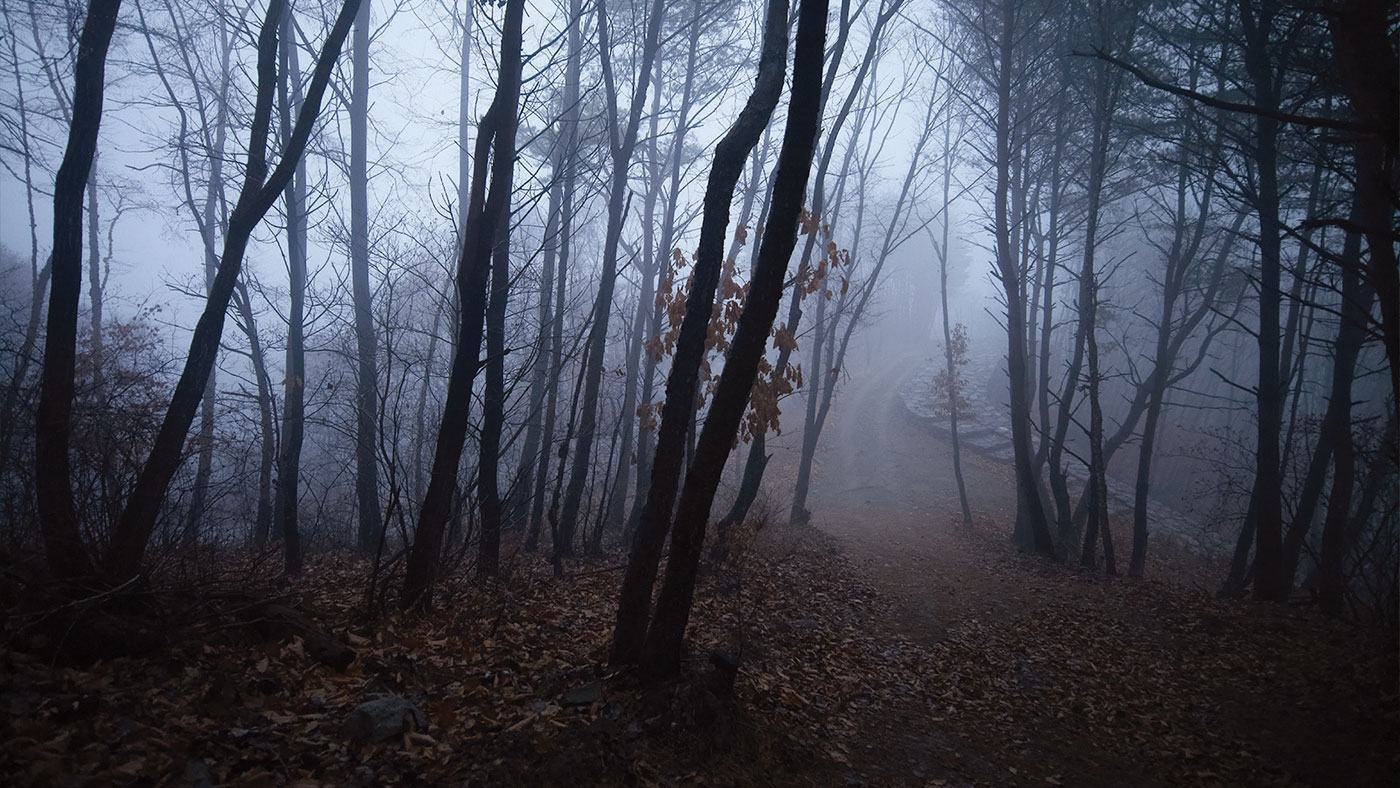 봉화 청량산 (奉化 淸凉山): 명승 제23호