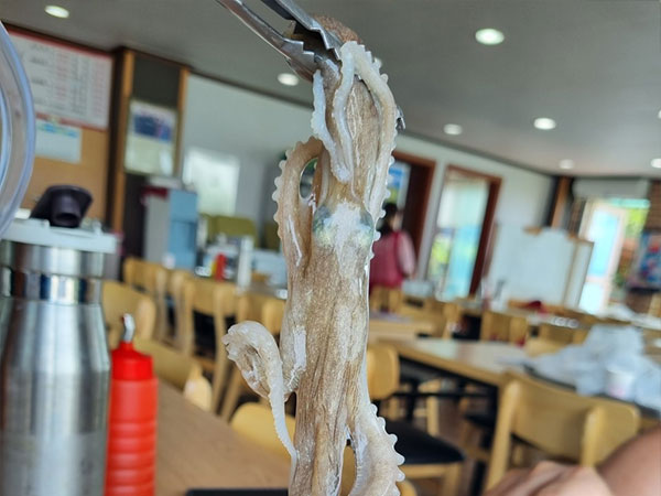 중왕낙지한마당 산낙지