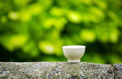 조계사 템플스테이