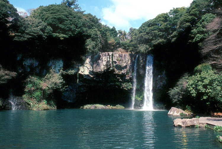 제주 무태장어 서식지 (濟州 무태장어 棲息地)